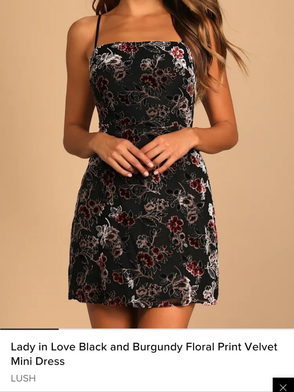 Lady in Love Black and Burgundy Floral Print Velvet Mini Dress, Large